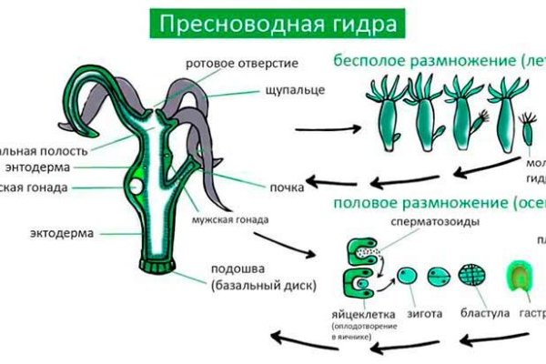 Рабочий сайт kraken