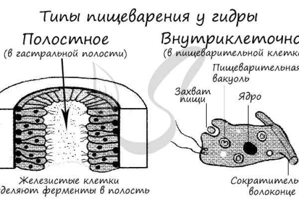 Кракен сайт даркнет зеркало