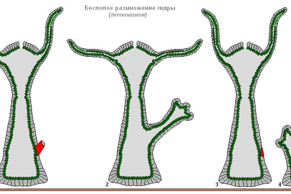 Кракен ссылка маркет