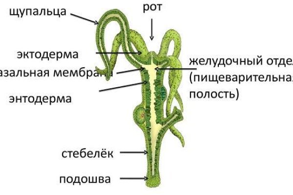 Кракен сайт даркнет официальный